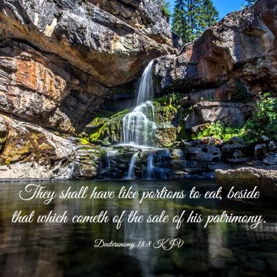 Picture 03 - Deuteronomy 18:8 KJV - They shall have like portions to eat, beside that - Bible Verse Picture