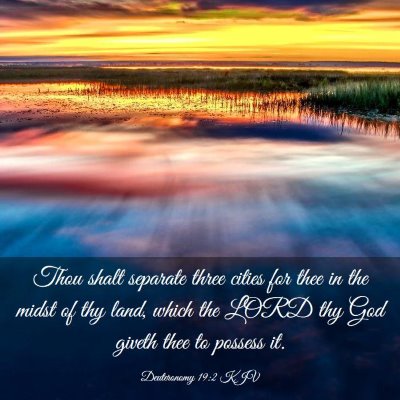 Picture 03 - Deuteronomy 19:2 KJV - Thou shalt separate three cities for thee in the - Bible Verse Picture
