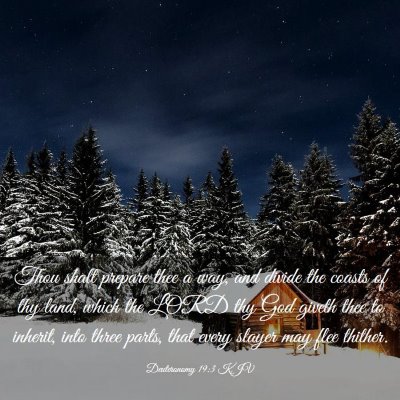 Picture 03 - Deuteronomy 19:3 KJV - Thou shalt prepare thee a way, and divide the - Bible Verse Picture