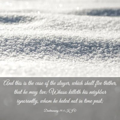 Picture 03 - Deuteronomy 19:4 KJV - And this is the case of the slayer, which shall - Bible Verse Picture