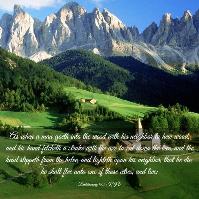 Picture 03 - Deuteronomy 19:5 KJV - As when a man goeth into the wood with his - Bible Verse Picture