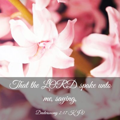 Picture 03 - Deuteronomy 2:17 KJV - That the LORD spake unto me, - Bible Verse Picture