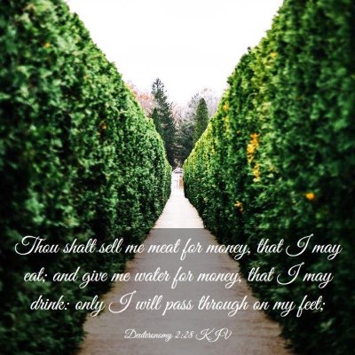 Picture 03 - Deuteronomy 2:28 KJV - Thou shalt sell me meat for money, that I may - Bible Verse Picture