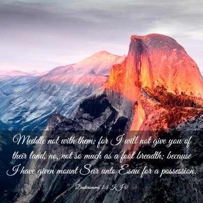 Picture 03 - Deuteronomy 2:5 KJV - Meddle not with them; for I will not give you of - Bible Verse Picture