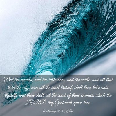 Picture 03 - Deuteronomy 20:14 KJV - But the women, and the little ones, and the - Bible Verse Picture