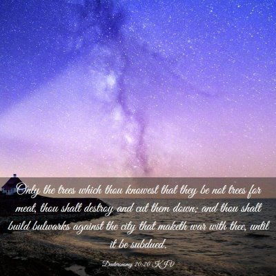 Picture 03 - Deuteronomy 20:20 KJV - Only the trees which thou knowest that they be - Bible Verse Picture