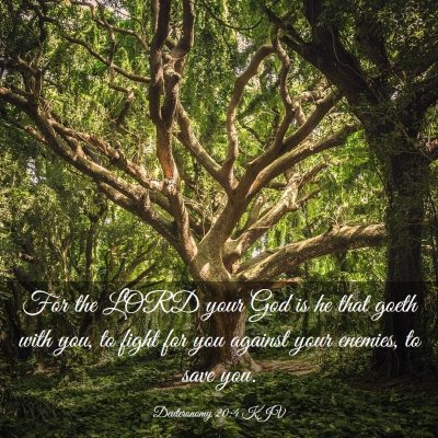 Picture 03 - Deuteronomy 20:4 KJV - For the LORD your God is he that goeth with you, - Bible Verse Picture