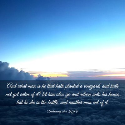 Picture 03 - Deuteronomy 20:6 KJV - And what man is he that hath planted a vineyard, - Bible Verse Picture