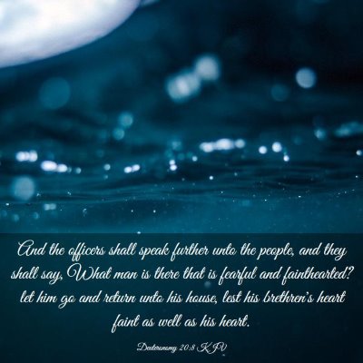 Picture 03 - Deuteronomy 20:8 KJV - And the officers shall speak further unto the - Bible Verse Picture
