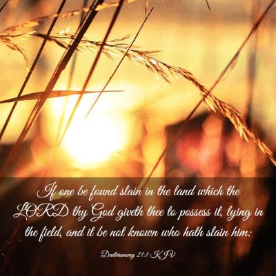 Picture 03 - Deuteronomy 21:1 KJV - If one be found slain in the land which the LORD - Bible Verse Picture