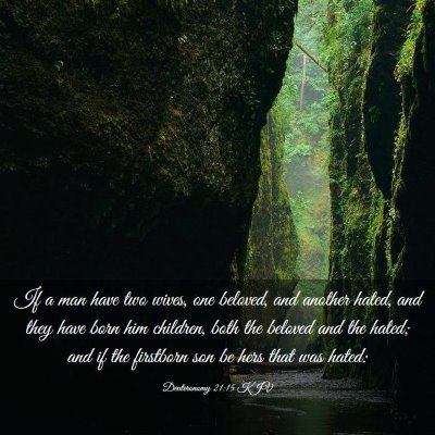 Picture 03 - Deuteronomy 21:15 KJV - If a man have two wives, one beloved, and another - Bible Verse Picture