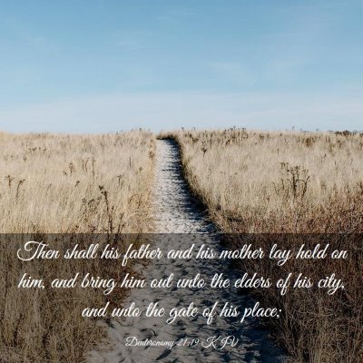Picture 03 - Deuteronomy 21:19 KJV - Then shall his father and his mother lay hold on - Bible Verse Picture