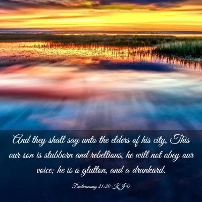 Picture 03 - Deuteronomy 21:20 KJV - And they shall say unto the elders of his city, - Bible Verse Picture