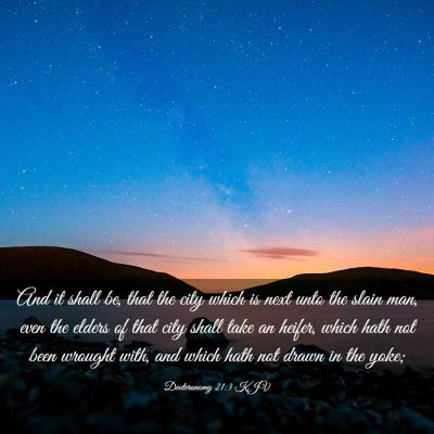 Picture 03 - Deuteronomy 21:3 KJV - And it shall be, that the city which is next unto - Bible Verse Picture