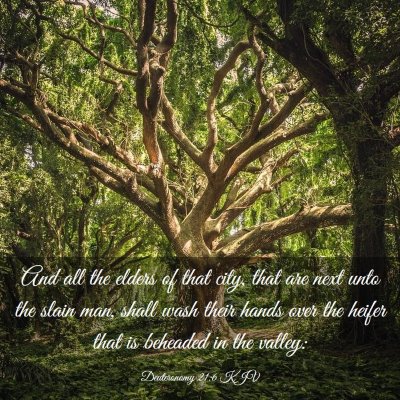 Picture 03 - Deuteronomy 21:6 KJV - And all the elders of that city, that are next - Bible Verse Picture