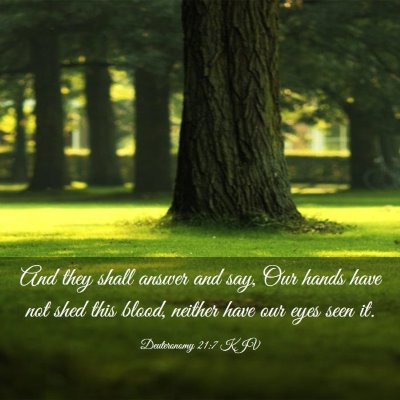 Picture 03 - Deuteronomy 21:7 KJV - And they shall answer and say, Our hands have not - Bible Verse Picture