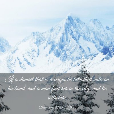 Picture 03 - Deuteronomy 22:23 KJV - If a damsel that is a virgin be betrothed unto an - Bible Verse Picture