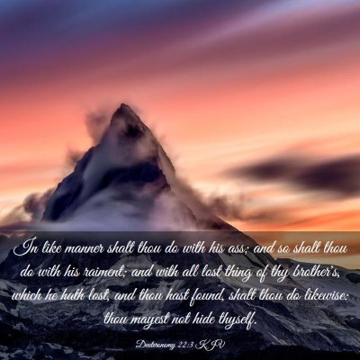 Picture 03 - Deuteronomy 22:3 KJV - In like manner shalt thou do with his ass; and so - Bible Verse Picture