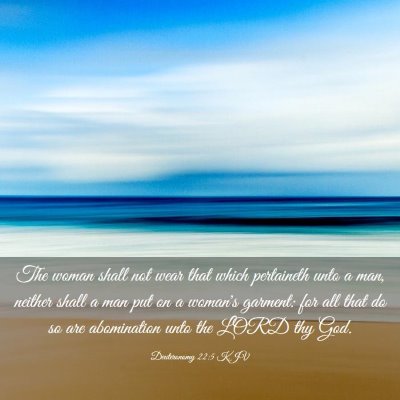 Picture 03 - Deuteronomy 22:5 KJV - The woman shall not wear that which pertaineth - Bible Verse Picture