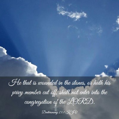 Picture 03 - Deuteronomy 23:1 KJV - He that is wounded in the stones, or hath his - Bible Verse Picture