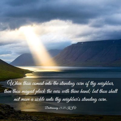Picture 03 - Deuteronomy 23:25 KJV - When thou comest into the standing corn of thy - Bible Verse Picture