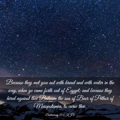Picture 03 - Deuteronomy 23:4 KJV - Because they met you not with bread and with - Bible Verse Picture
