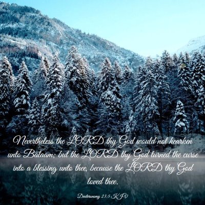 Picture 03 - Deuteronomy 23:5 KJV - Nevertheless the LORD thy God would not hearken - Bible Verse Picture