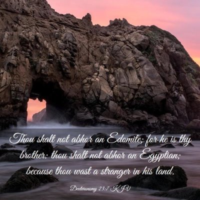 Picture 03 - Deuteronomy 23:7 KJV - Thou shalt not abhor an Edomite; for he is thy - Bible Verse Picture