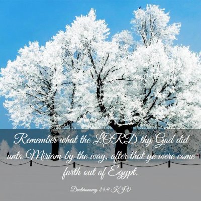 Picture 03 - Deuteronomy 24:9 KJV - Remember what the LORD thy God did unto Miriam by - Bible Verse Picture