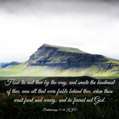 Picture 03 - Deuteronomy 25:18 KJV - How he met thee by the way, and smote the - Bible Verse Picture