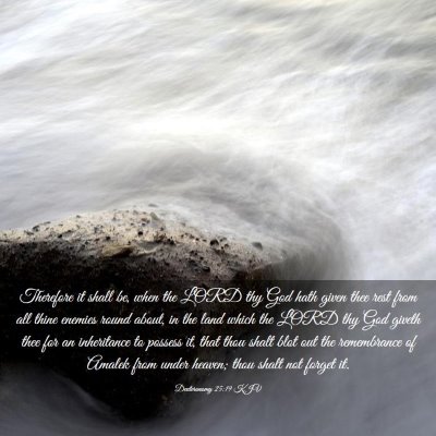 Picture 03 - Deuteronomy 25:19 KJV - Therefore it shall be, when the LORD thy God hath - Bible Verse Picture