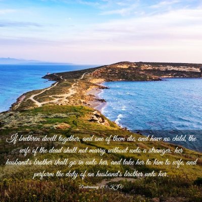 Picture 03 - Deuteronomy 25:5 KJV - If brethren dwell together, and one of them die, - Bible Verse Picture