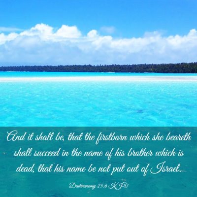 Picture 03 - Deuteronomy 25:6 KJV - And it shall be, that the firstborn which she - Bible Verse Picture