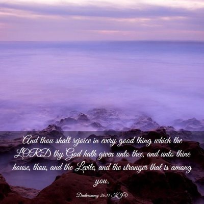 Picture 03 - Deuteronomy 26:11 KJV - And thou shalt rejoice in every good thing which - Bible Verse Picture