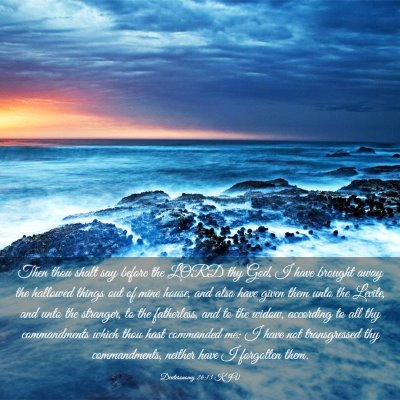 Picture 03 - Deuteronomy 26:13 KJV - Then thou shalt say before the LORD thy God, I - Bible Verse Picture