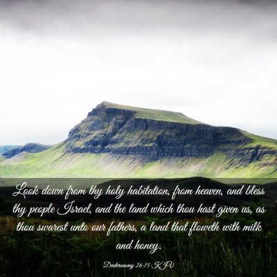 Picture 03 - Deuteronomy 26:15 KJV - Look down from thy holy habitation, from heaven, - Bible Verse Picture