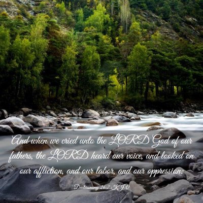 Picture 03 - Deuteronomy 26:7 KJV - And when we cried unto the LORD God of our - Bible Verse Picture