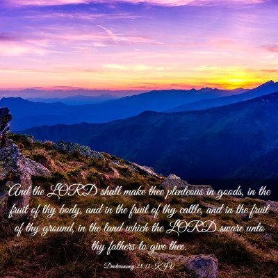 Picture 03 - Deuteronomy 28:11 KJV - And the LORD shall make thee plenteous in goods, - Bible Verse Picture