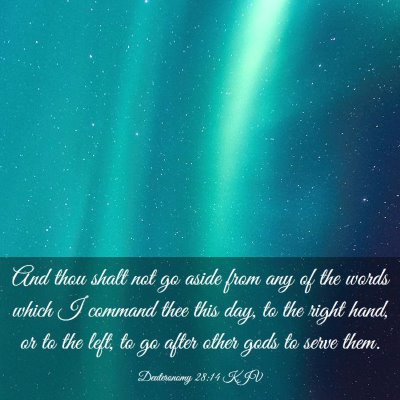 Picture 03 - Deuteronomy 28:14 KJV - And thou shalt not go aside from any of the words - Bible Verse Picture