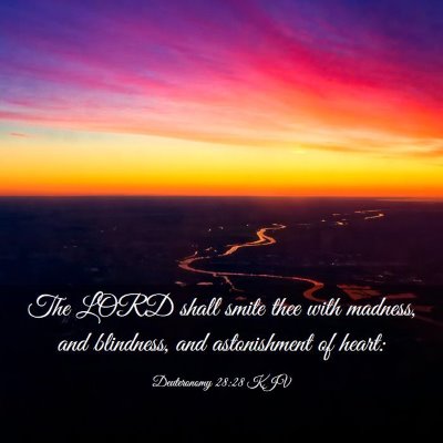 Picture 03 - Deuteronomy 28:28 KJV - The LORD shall smite thee with madness, and - Bible Verse Picture