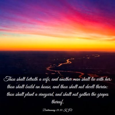 Picture 03 - Deuteronomy 28:30 KJV - Thou shalt betroth a wife, and another man shall - Bible Verse Picture