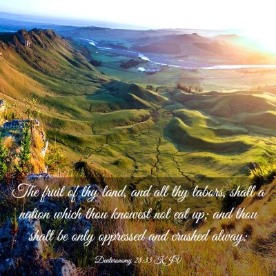Picture 03 - Deuteronomy 28:33 KJV - The fruit of thy land, and all thy labors, shall - Bible Verse Picture