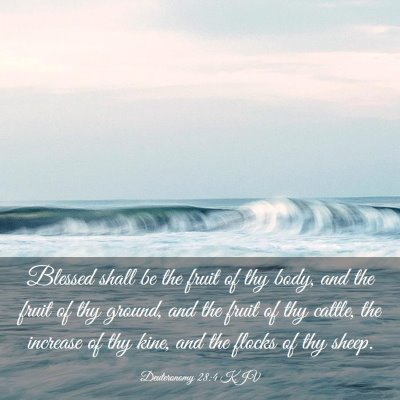 Picture 03 - Deuteronomy 28:4 KJV - Blessed shall be the fruit of thy body, and the - Bible Verse Picture