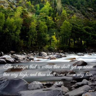 Picture 03 - Deuteronomy 28:43 KJV - The stranger that is within thee shall get up - Bible Verse Picture