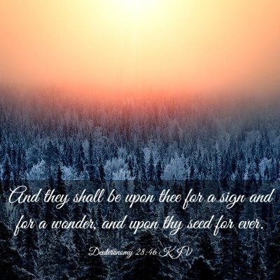 Picture 03 - Deuteronomy 28:46 KJV - And they shall be upon thee for a sign and for a - Bible Verse Picture
