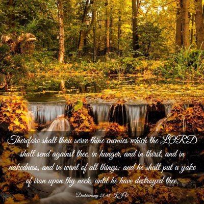 Picture 03 - Deuteronomy 28:48 KJV - Therefore shalt thou serve thine enemies which - Bible Verse Picture