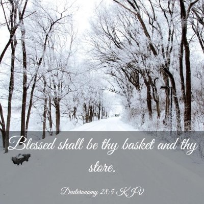 Picture 03 - Deuteronomy 28:5 KJV - Blessed shall be thy basket and thy - Bible Verse Picture