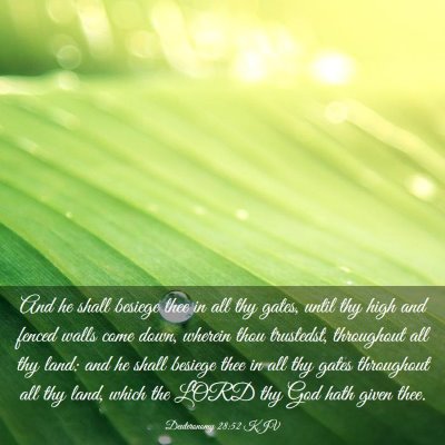 Picture 03 - Deuteronomy 28:52 KJV - And he shall besiege thee in all thy gates, until - Bible Verse Picture