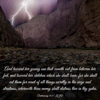 Picture 03 - Deuteronomy 28:57 KJV - And toward her young one that cometh out from - Bible Verse Picture