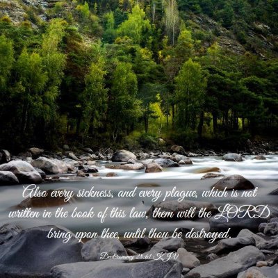 Picture 03 - Deuteronomy 28:61 KJV - Also every sickness, and every plague, which is - Bible Verse Picture
